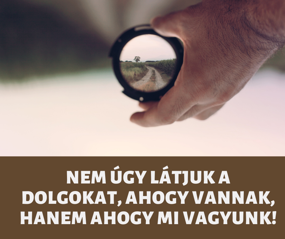 ad8f971edc022a8c6a1db0aaef7489fc