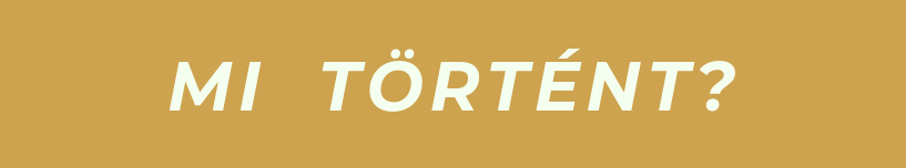 mitortent